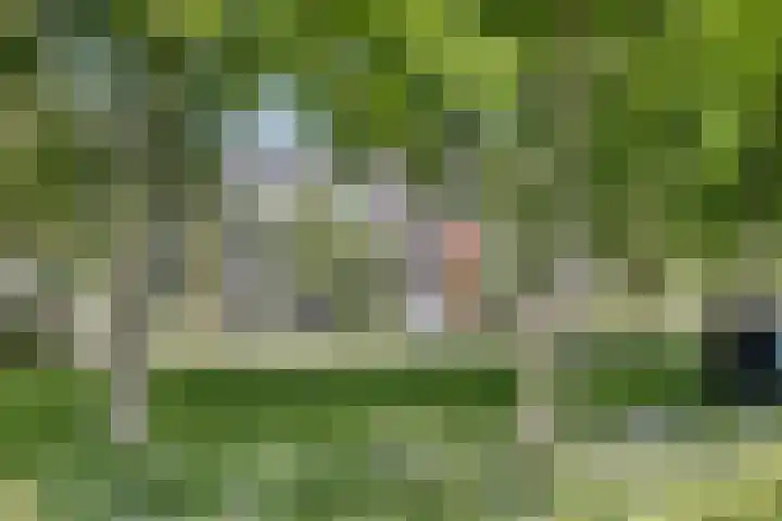 Bogortuin 74 Amsterdam thumbnail 26