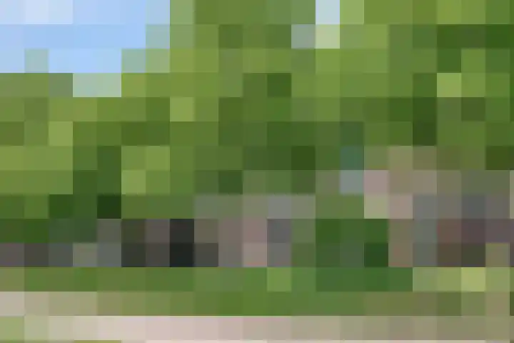 Bogortuin 74 Amsterdam thumbnail 5