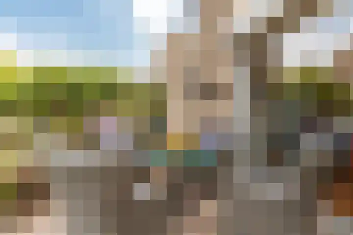 Bogotadreef 8 Utrecht thumbnail 10
