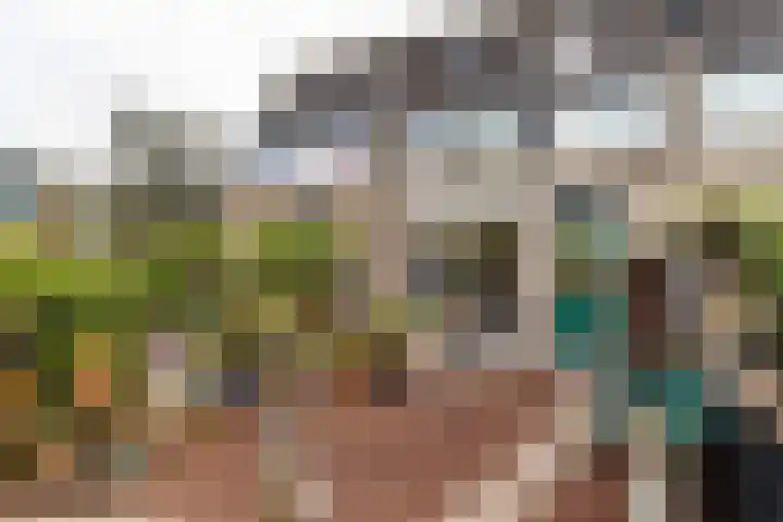 Bogotadreef 8 Utrecht thumbnail 13