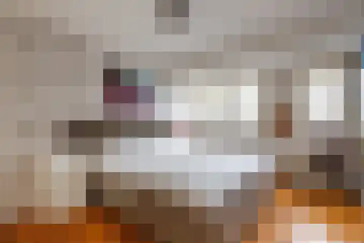 Bogotadreef 8 Utrecht thumbnail 15