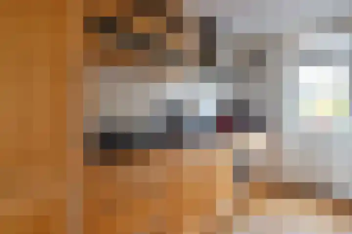 Bogotadreef 8 Utrecht thumbnail 6