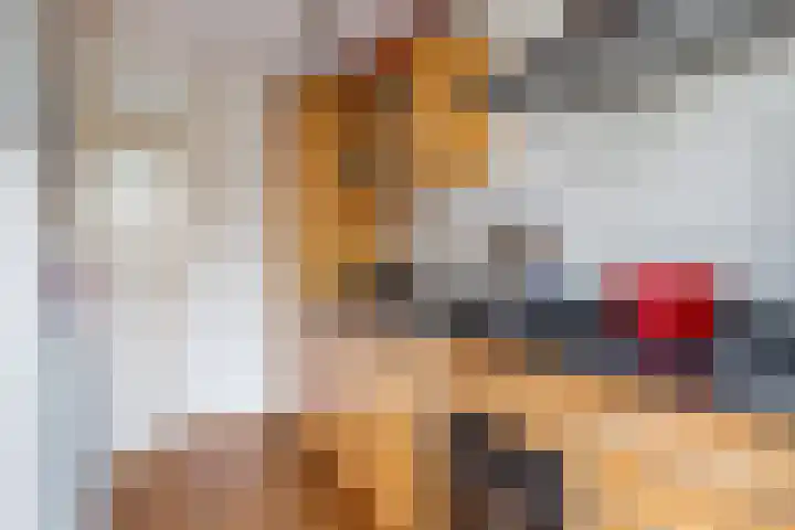 Bogotadreef 8 Utrecht thumbnail 7