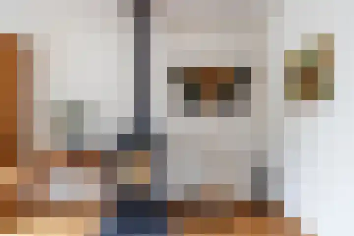 Bogotadreef 8 Utrecht thumbnail 9