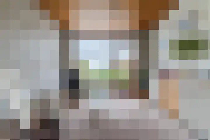 Bogtmanweg 30 Tuitjenhorn thumbnail 10