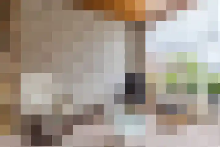 Bogtmanweg 30 Tuitjenhorn thumbnail 12