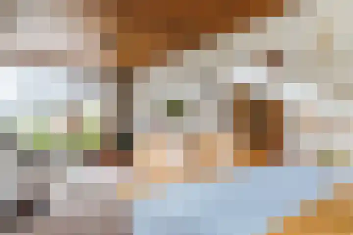 Bogtmanweg 30 Tuitjenhorn thumbnail 15