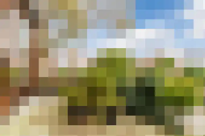 Bogtmanweg 30 Tuitjenhorn thumbnail 34