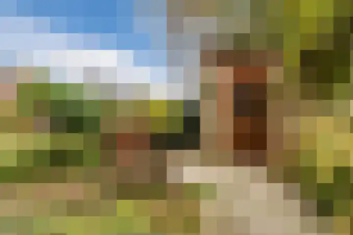 Bogtmanweg 30 Tuitjenhorn thumbnail 35