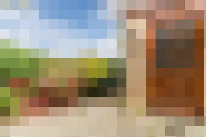 Bogtmanweg 30 Tuitjenhorn thumbnail 36