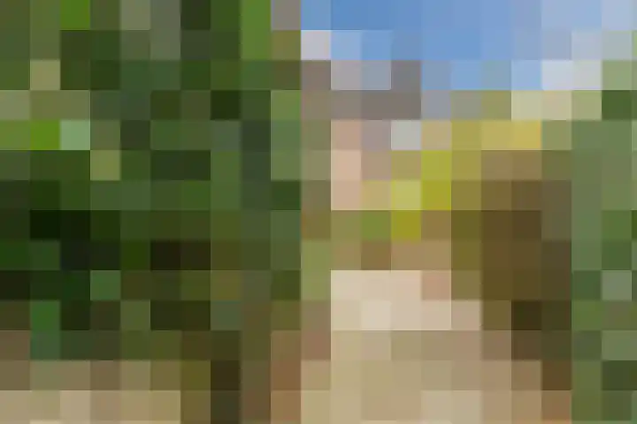 Bogtmanweg 30 Tuitjenhorn thumbnail 37