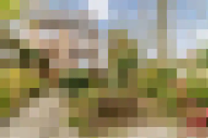 Bogtmanweg 30 Tuitjenhorn thumbnail 38
