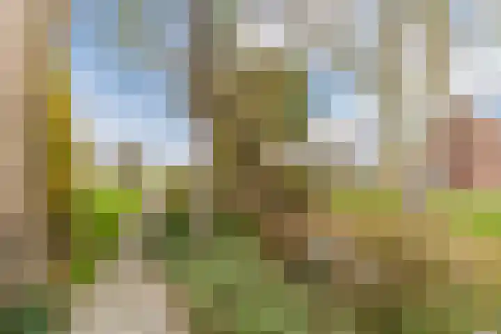 Bogtmanweg 30 Tuitjenhorn thumbnail 39