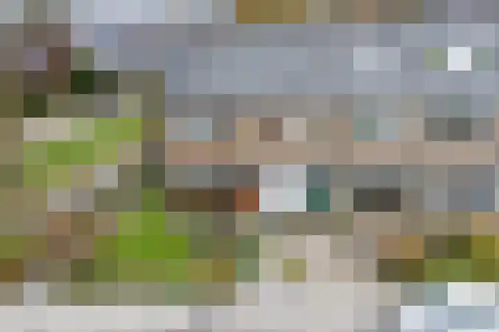 Bogtmanweg 30 Tuitjenhorn thumbnail 4