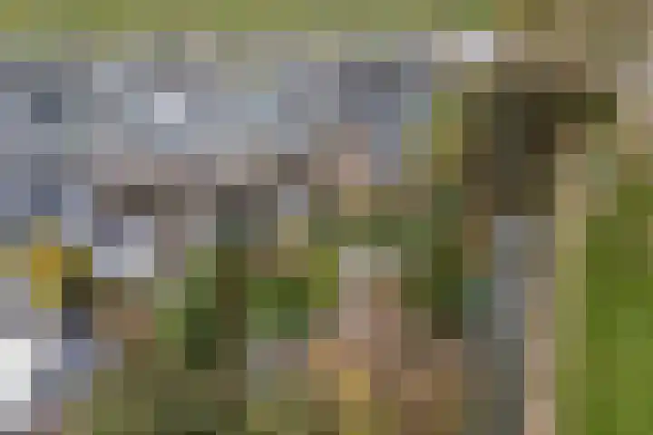 Bogtmanweg 30 Tuitjenhorn thumbnail 40