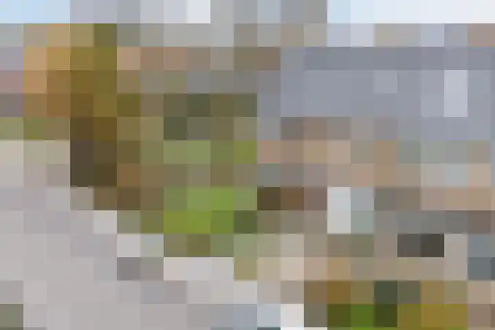 Bogtmanweg 30 Tuitjenhorn thumbnail 41