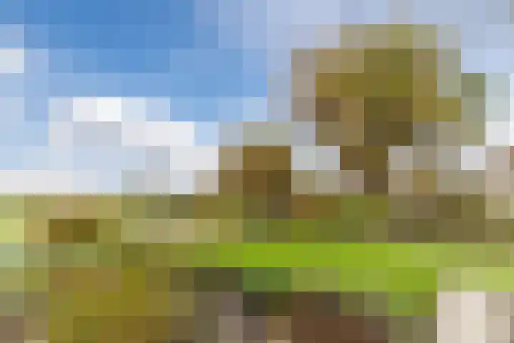 Bogtmanweg 30 Tuitjenhorn thumbnail 5