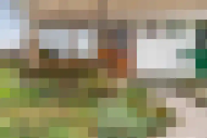 Bogtmanweg 30 Tuitjenhorn thumbnail 6