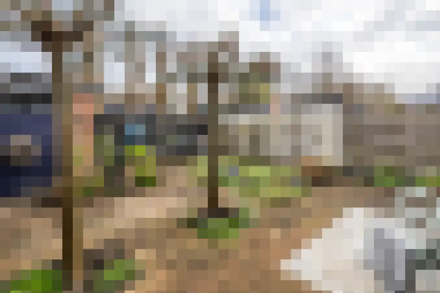Bohanstraat 7 Schelluinen thumbnail 10