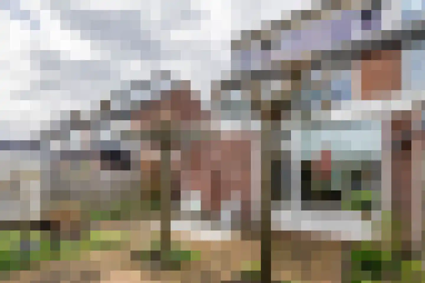 Bohanstraat 7 Schelluinen thumbnail 13