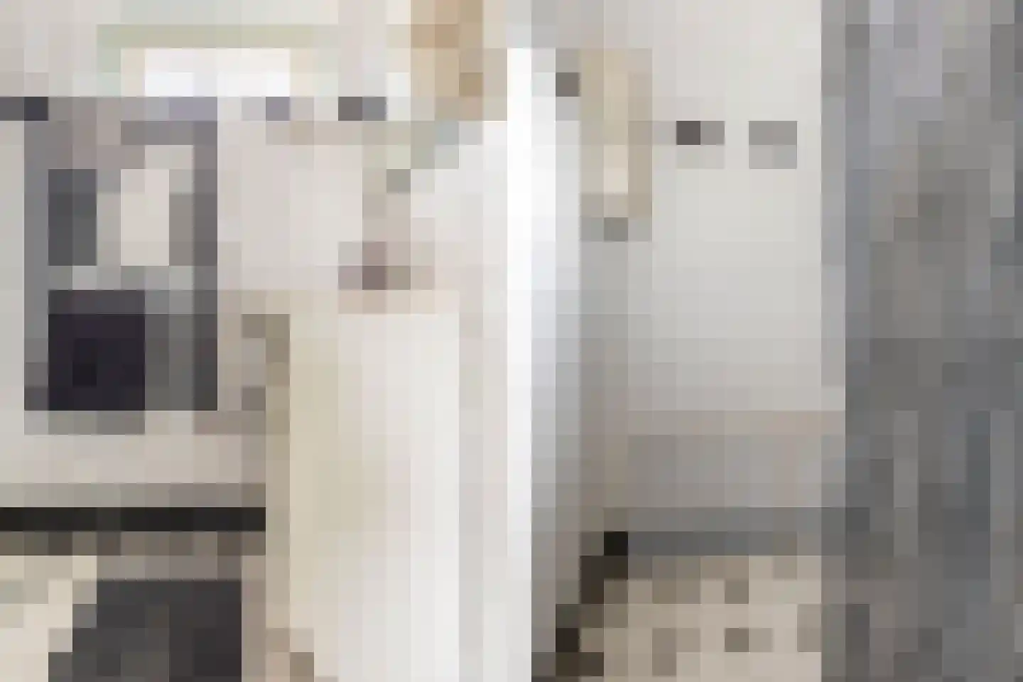 Bohanstraat 7 Schelluinen thumbnail 18