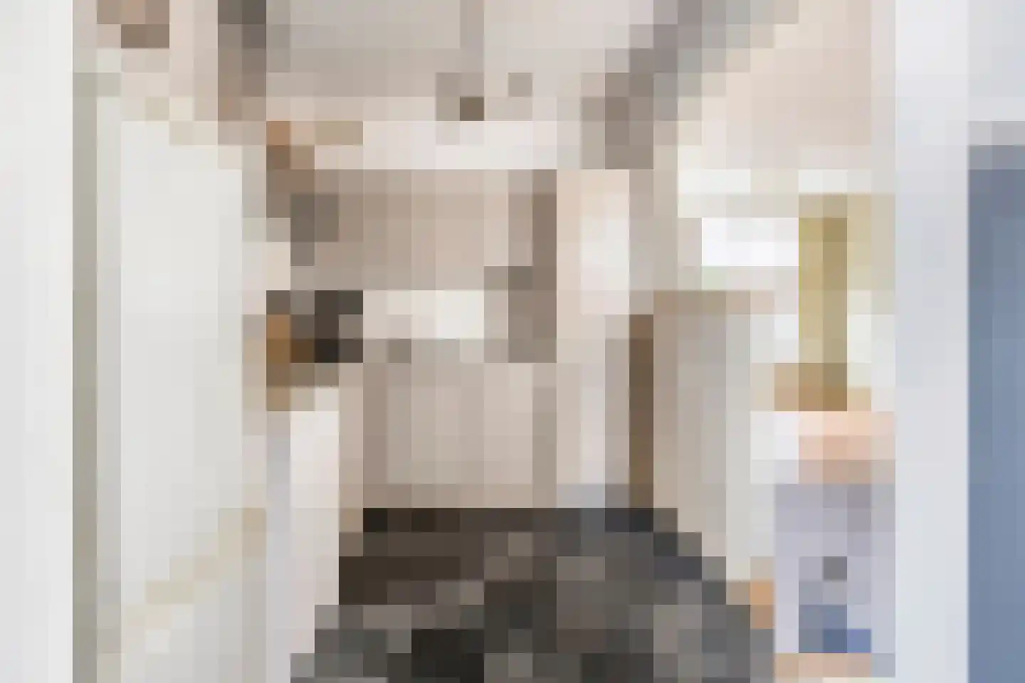 Bohanstraat 7 Schelluinen thumbnail 7