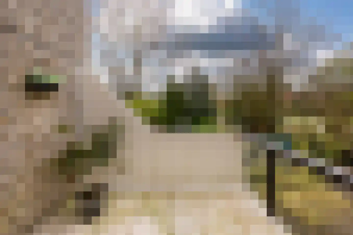 Bohemen 13 Leusden thumbnail 11