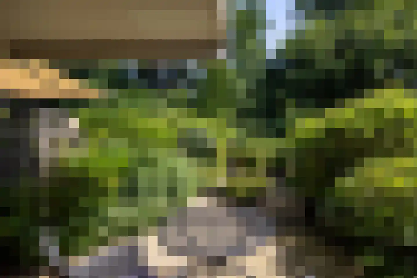 Bohemen 13 Leusden thumbnail 33