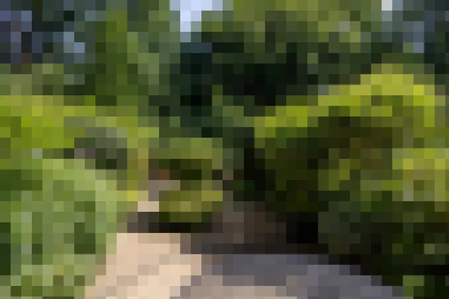 Bohemen 13 Leusden thumbnail 34