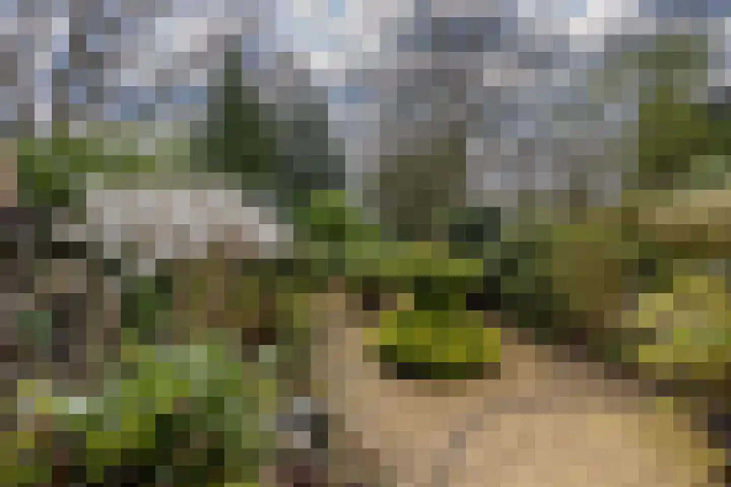 Bohemen 13 Leusden thumbnail 34