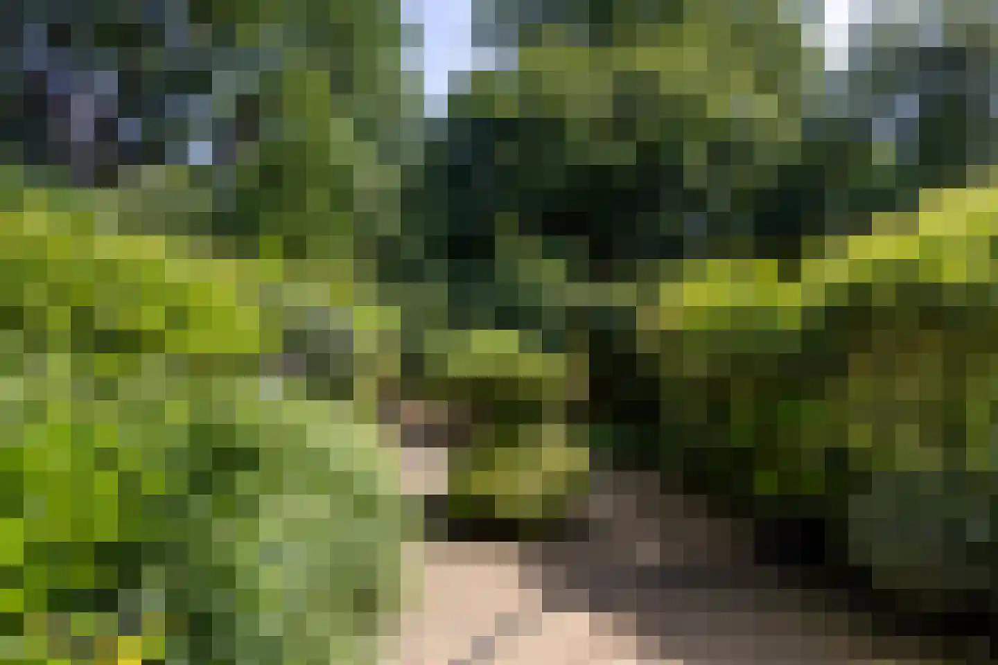 Bohemen 13 Leusden thumbnail 35
