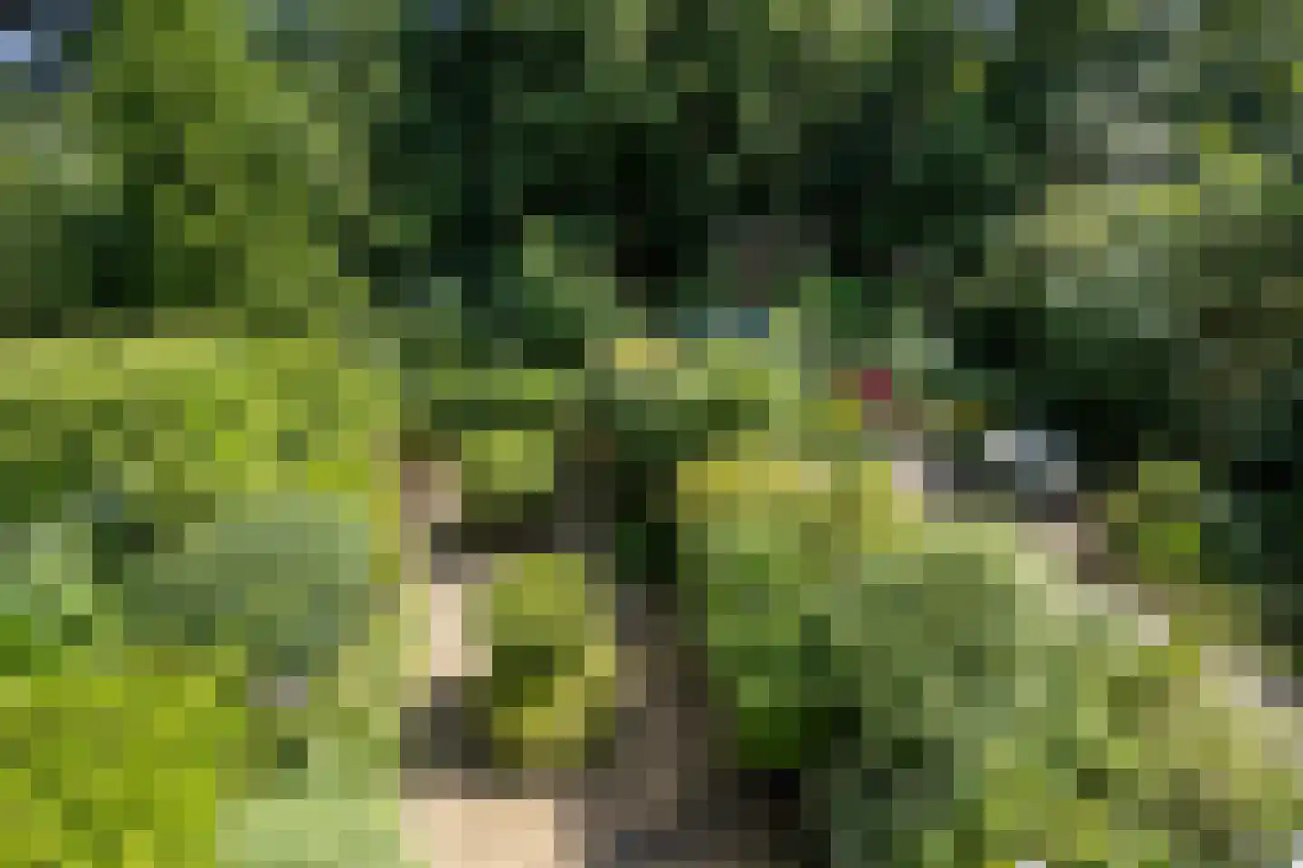 Bohemen 13 Leusden thumbnail 36