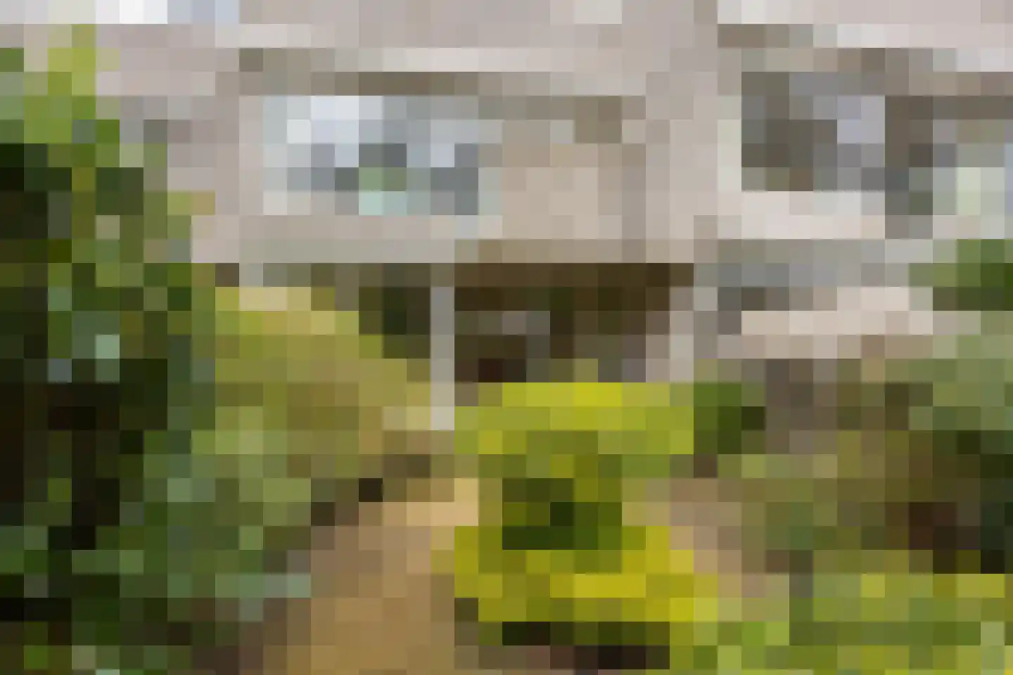 Bohemen 13 Leusden thumbnail 37