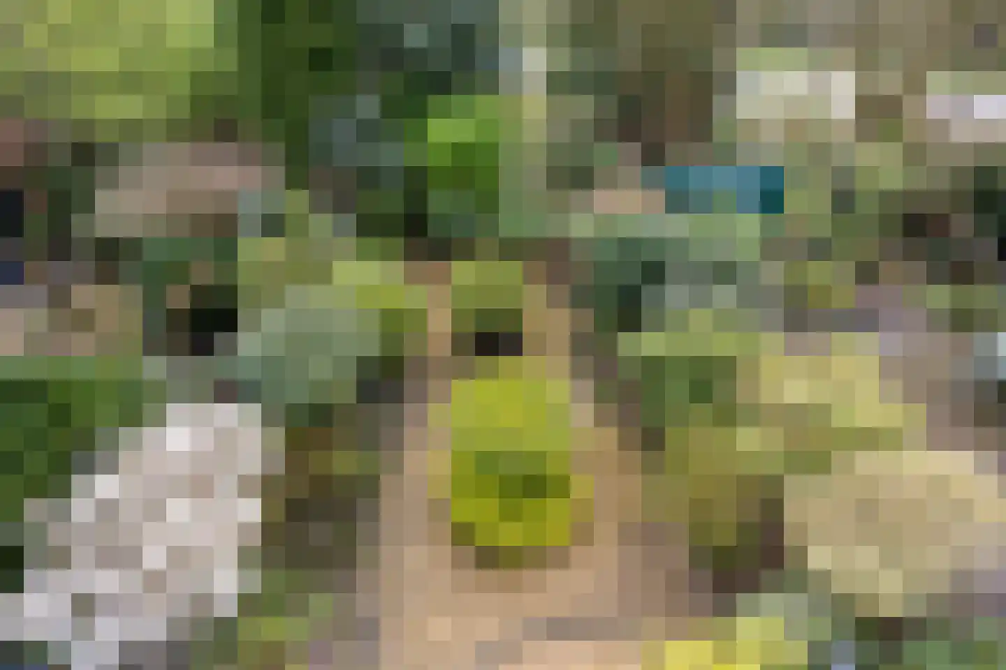 Bohemen 13 Leusden thumbnail 38