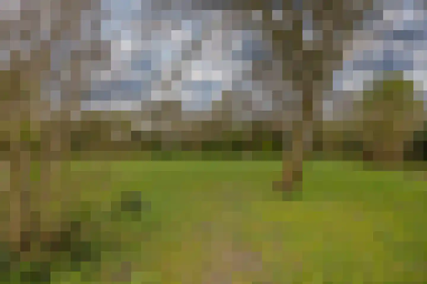 Bohemen 13 Leusden thumbnail 39