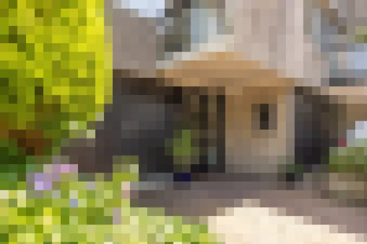 Bohemen 13 Leusden thumbnail 42
