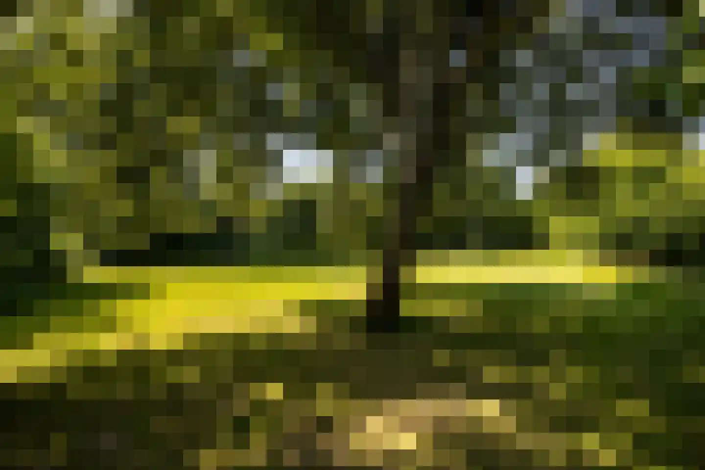 Bohemen 13 Leusden thumbnail 44