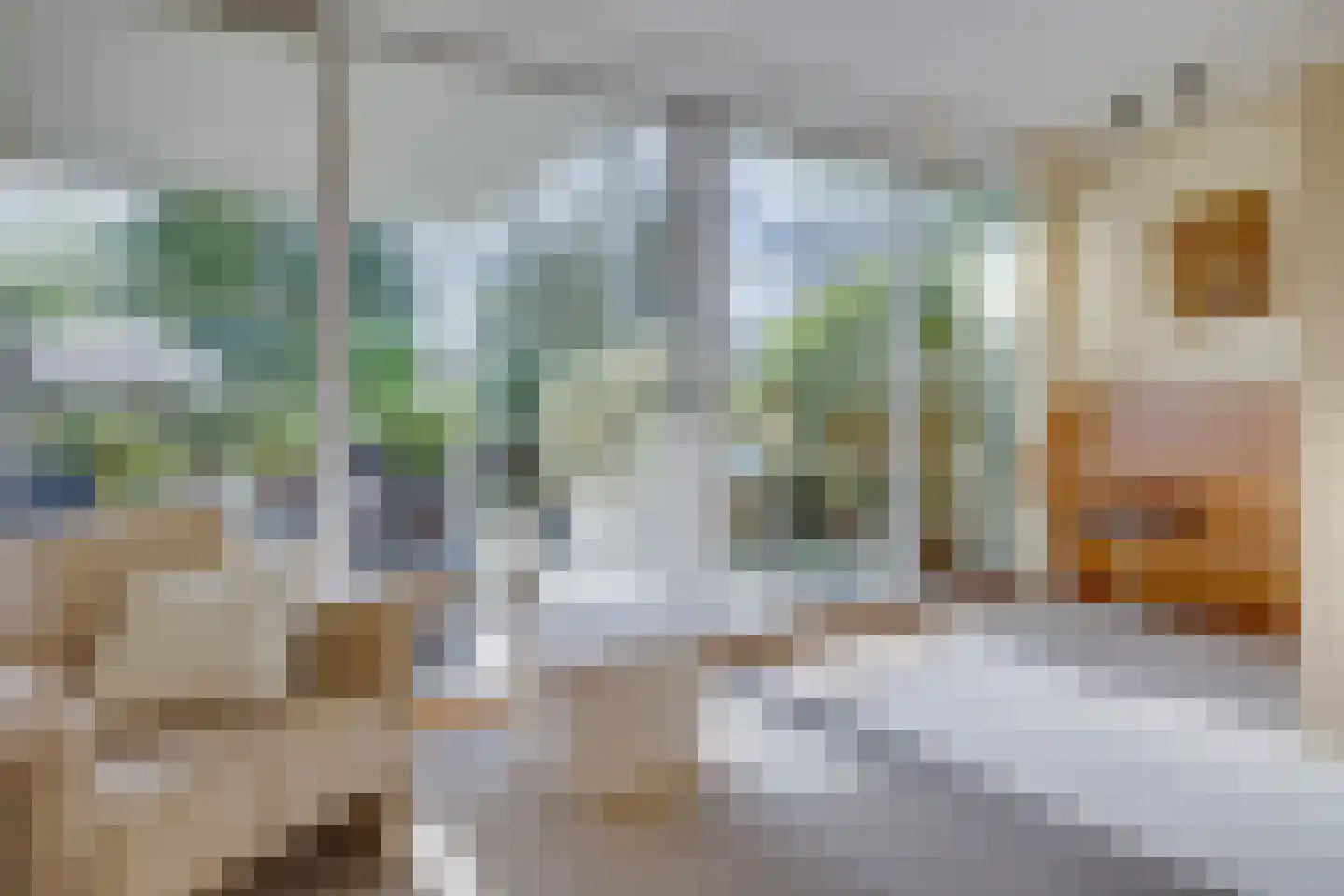 Bohemen 13 Leusden thumbnail 5