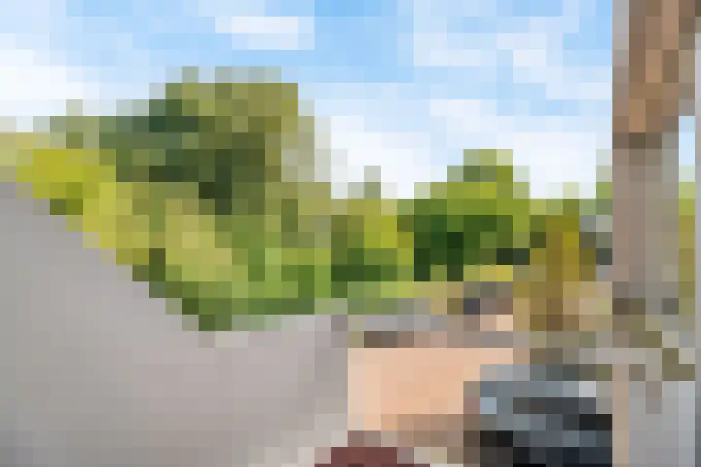 Bohemen 25 Leusden thumbnail 17