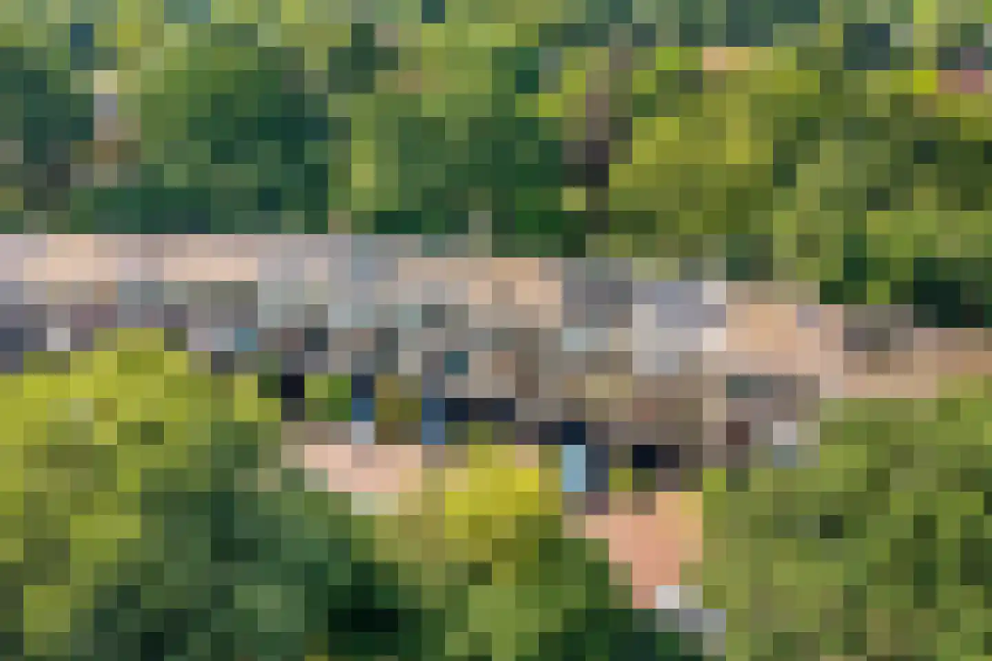 Bohemen 25 Leusden thumbnail 4