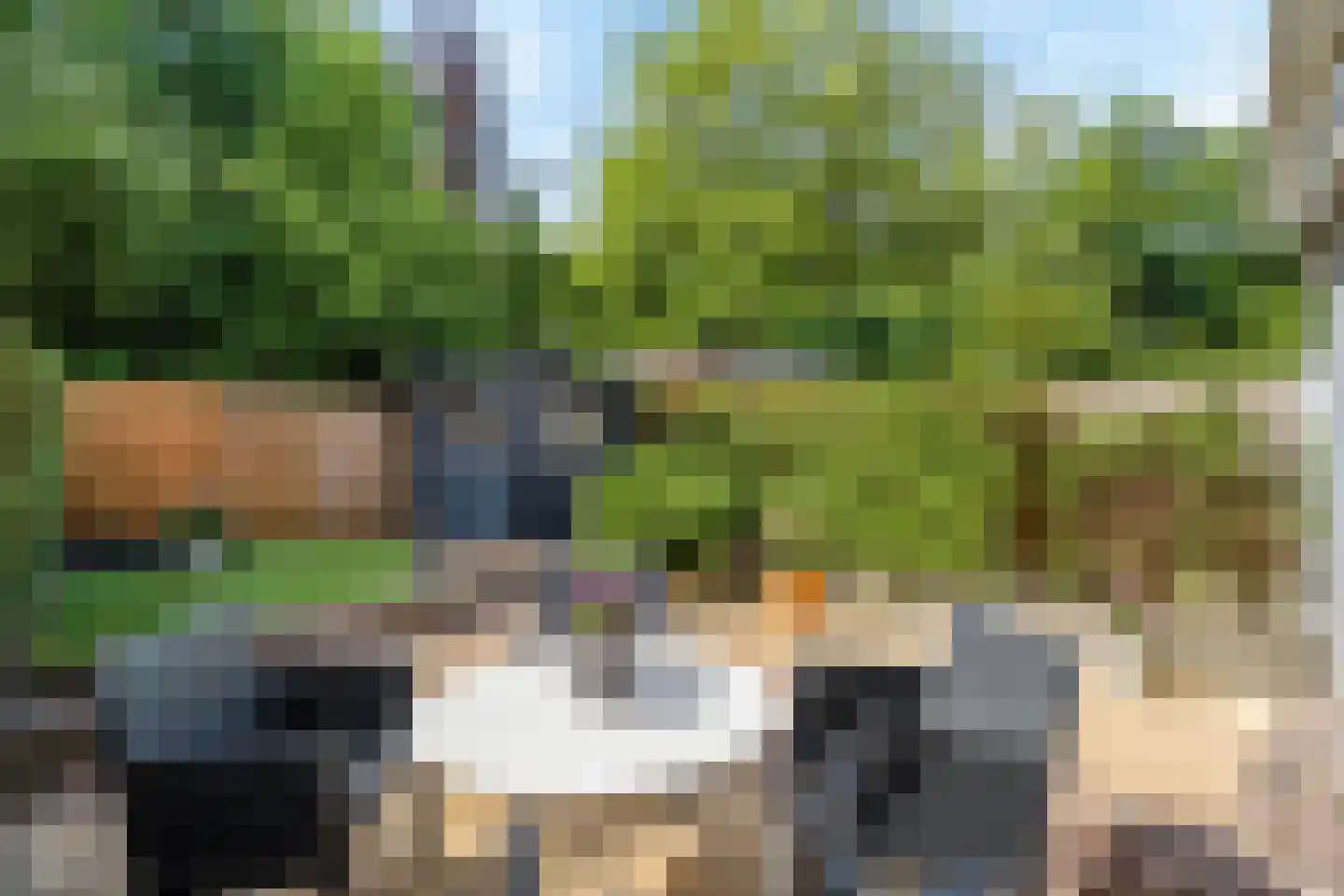 Bohemen 25 Leusden thumbnail 40