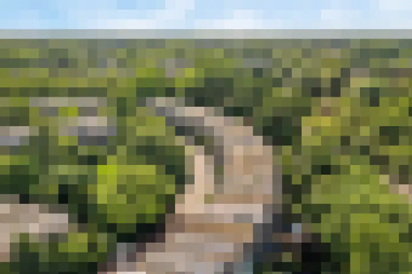 Bohemen 25 Leusden thumbnail 47