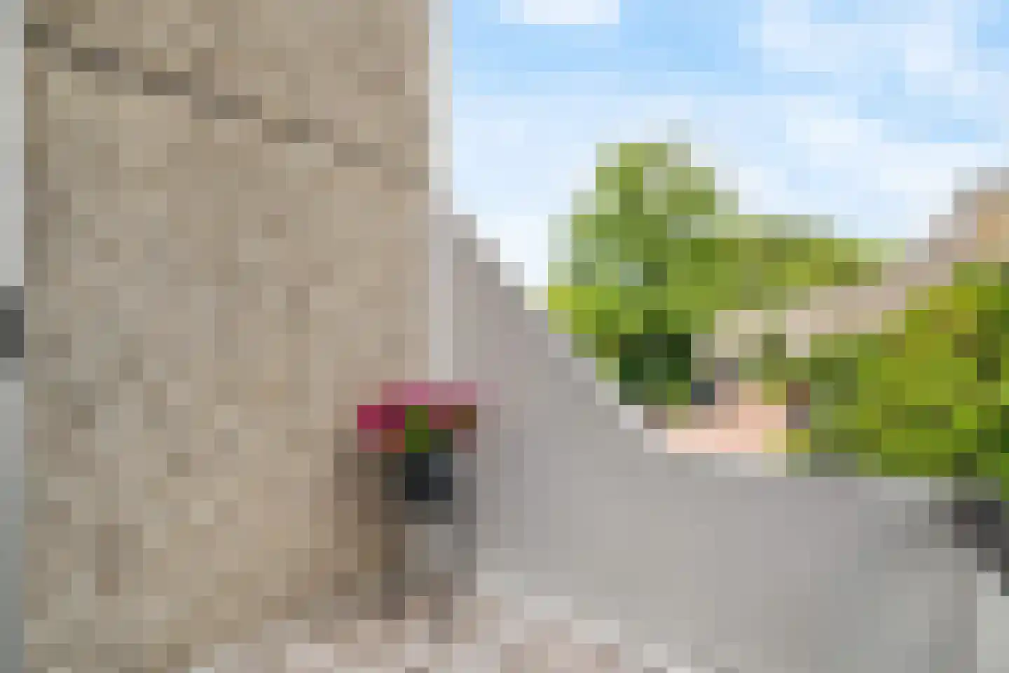 Bohemen 53 Leusden thumbnail 27