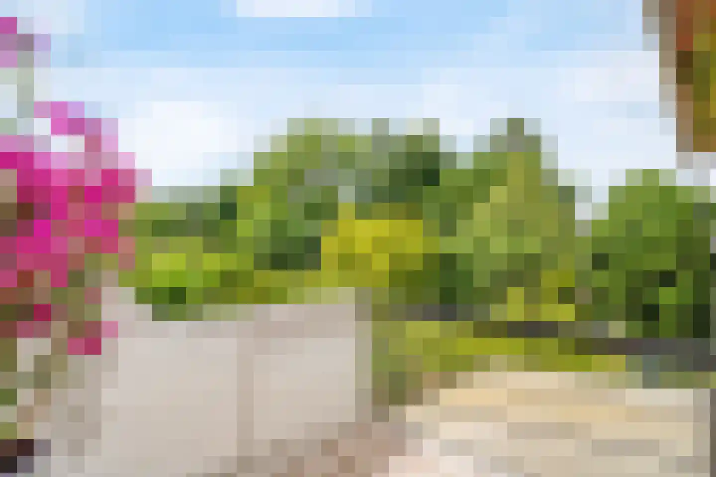 Bohemen 53 Leusden thumbnail 32