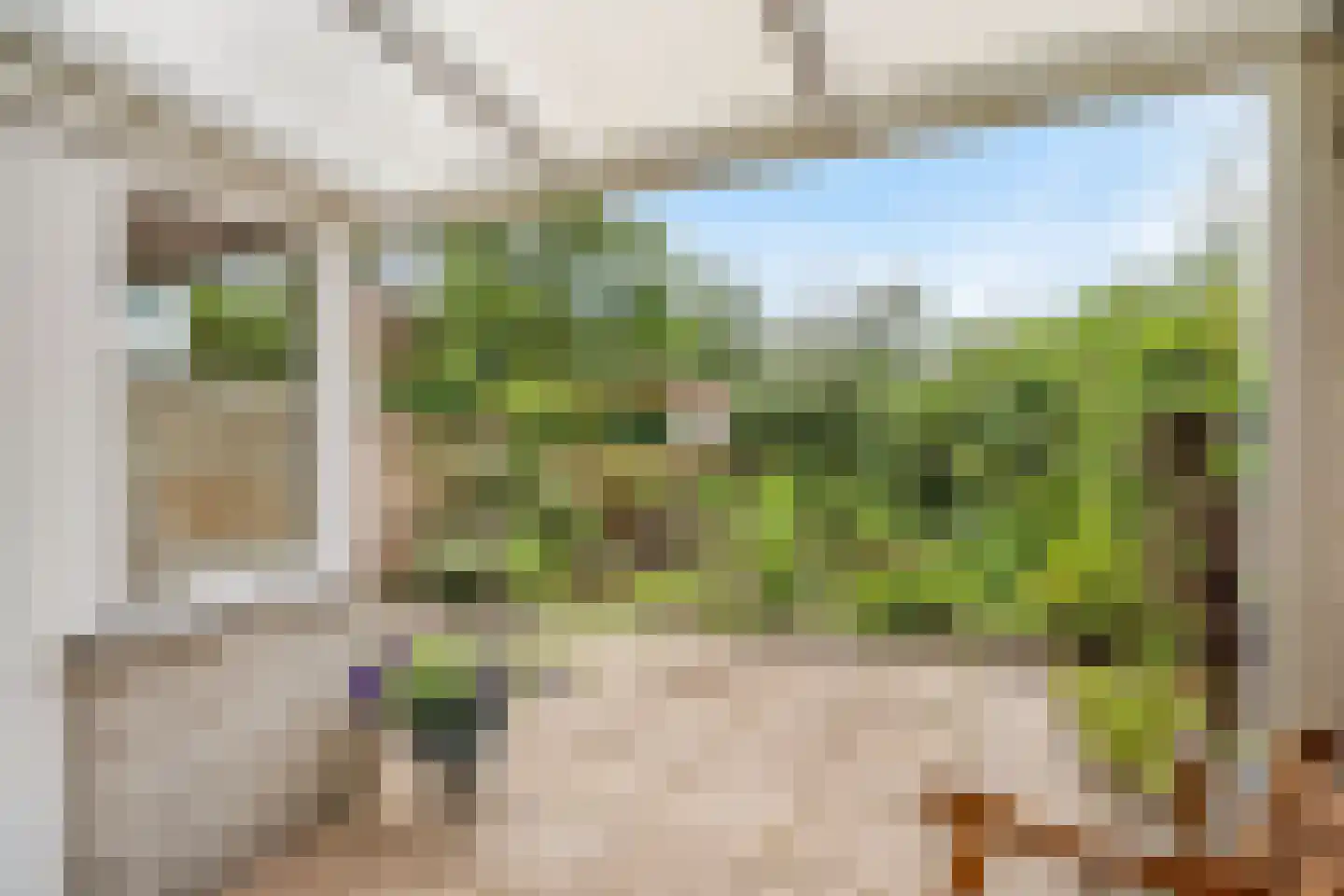 Bohemen 53 Leusden thumbnail 45