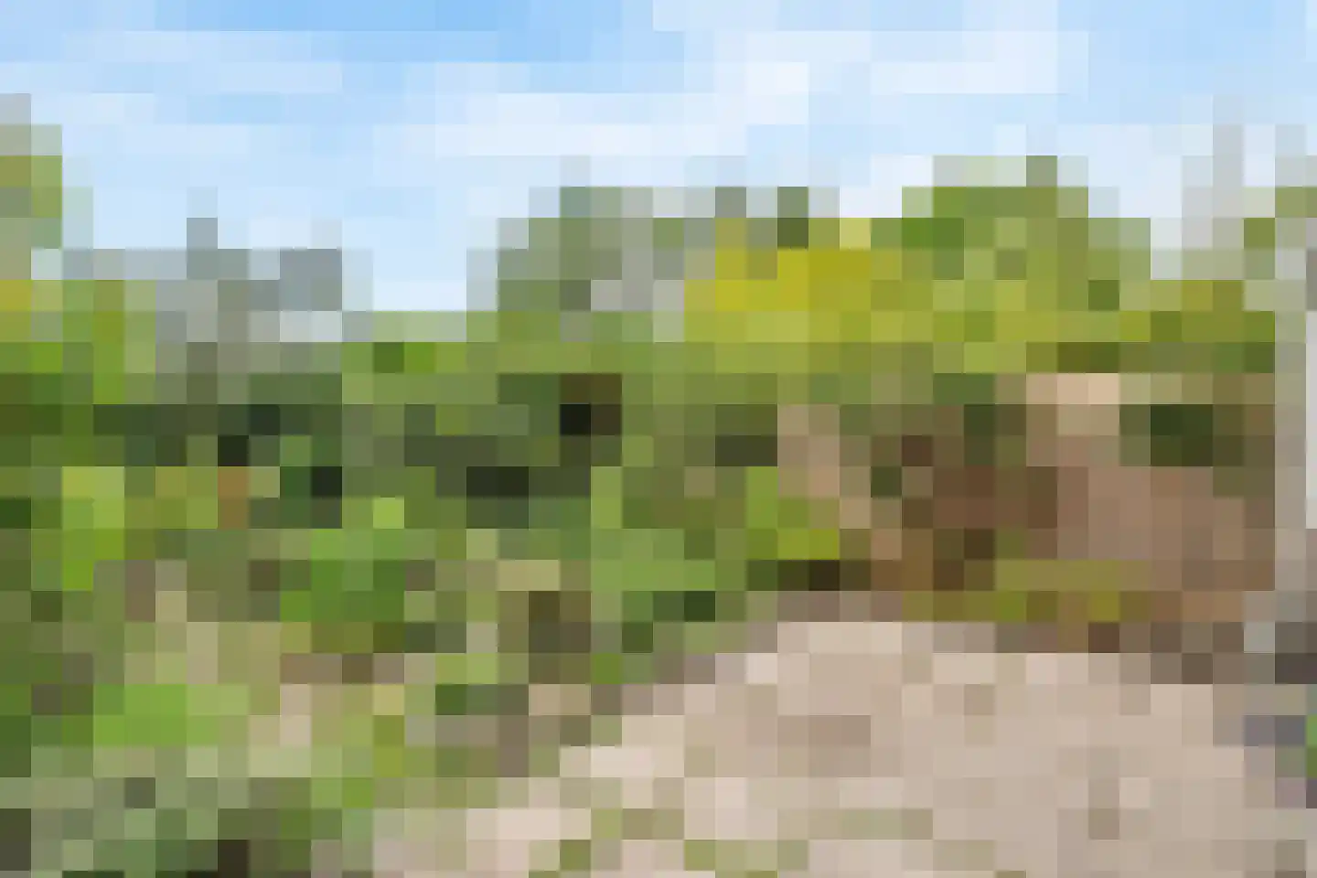 Bohemen 53 Leusden thumbnail 46