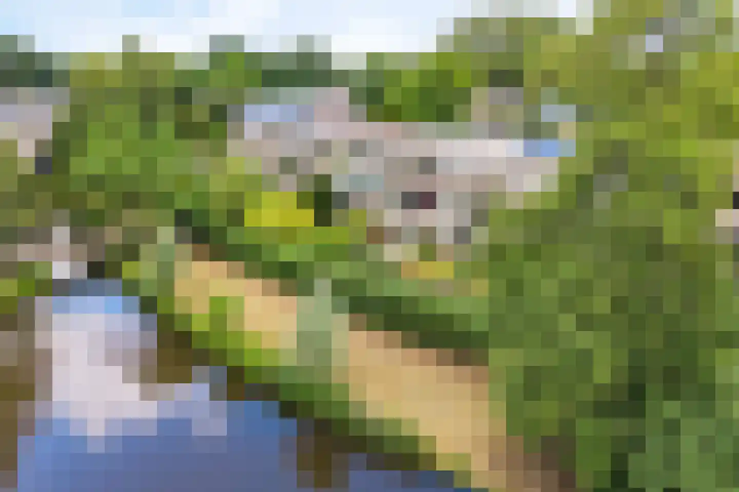 Bohemen 53 Leusden thumbnail 58