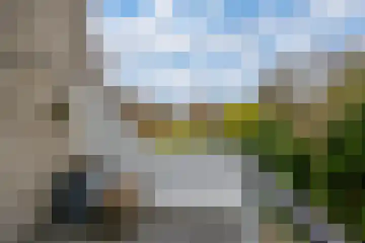 Bohemen 55 Leusden thumbnail 19