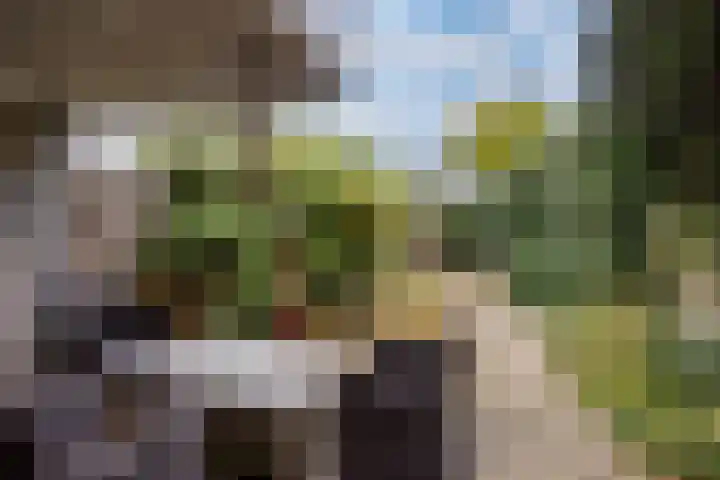 Bohemen 55 Leusden thumbnail 31