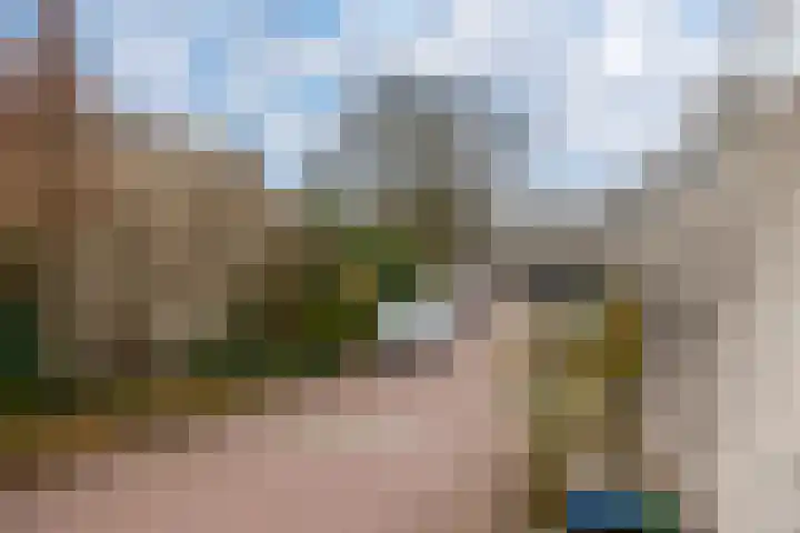 Bohemen 55 Leusden thumbnail 36